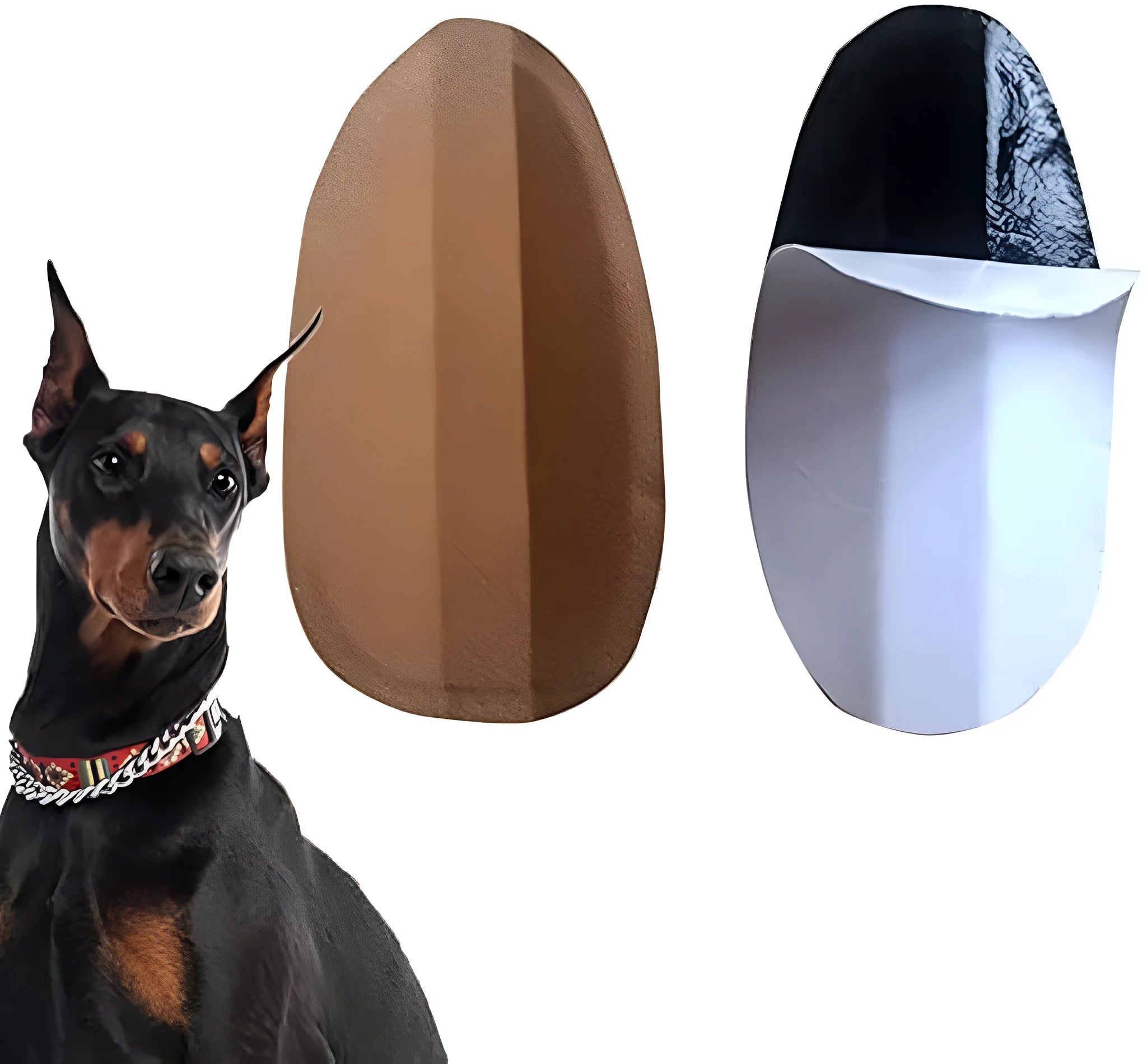 Dog ear support sticker tool for Doberman, Corgi, and Sheltie puppies on a white background