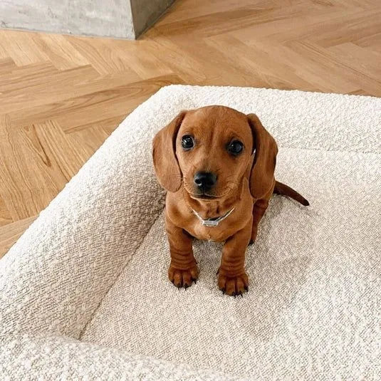 Beige rectangular cloth dog bed nest with raised sides, shown in medium size on a wooden floor.