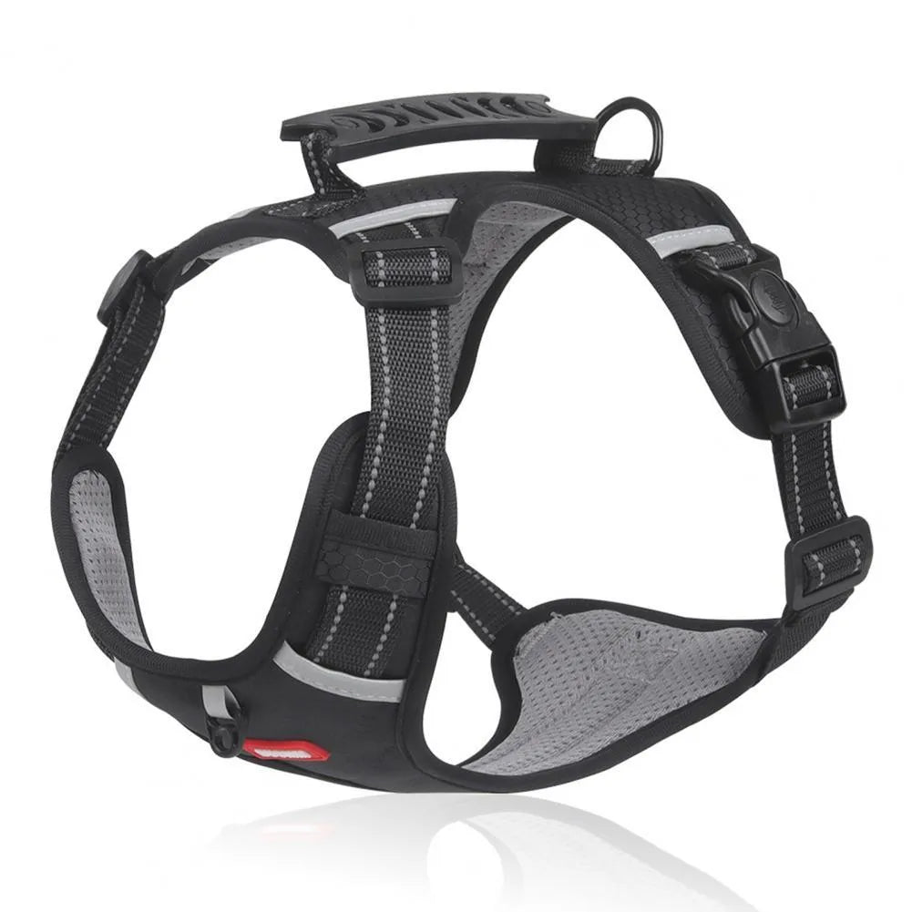 Orange adjustable nylon dog harness with reflective strips and mesh panels shown on dog