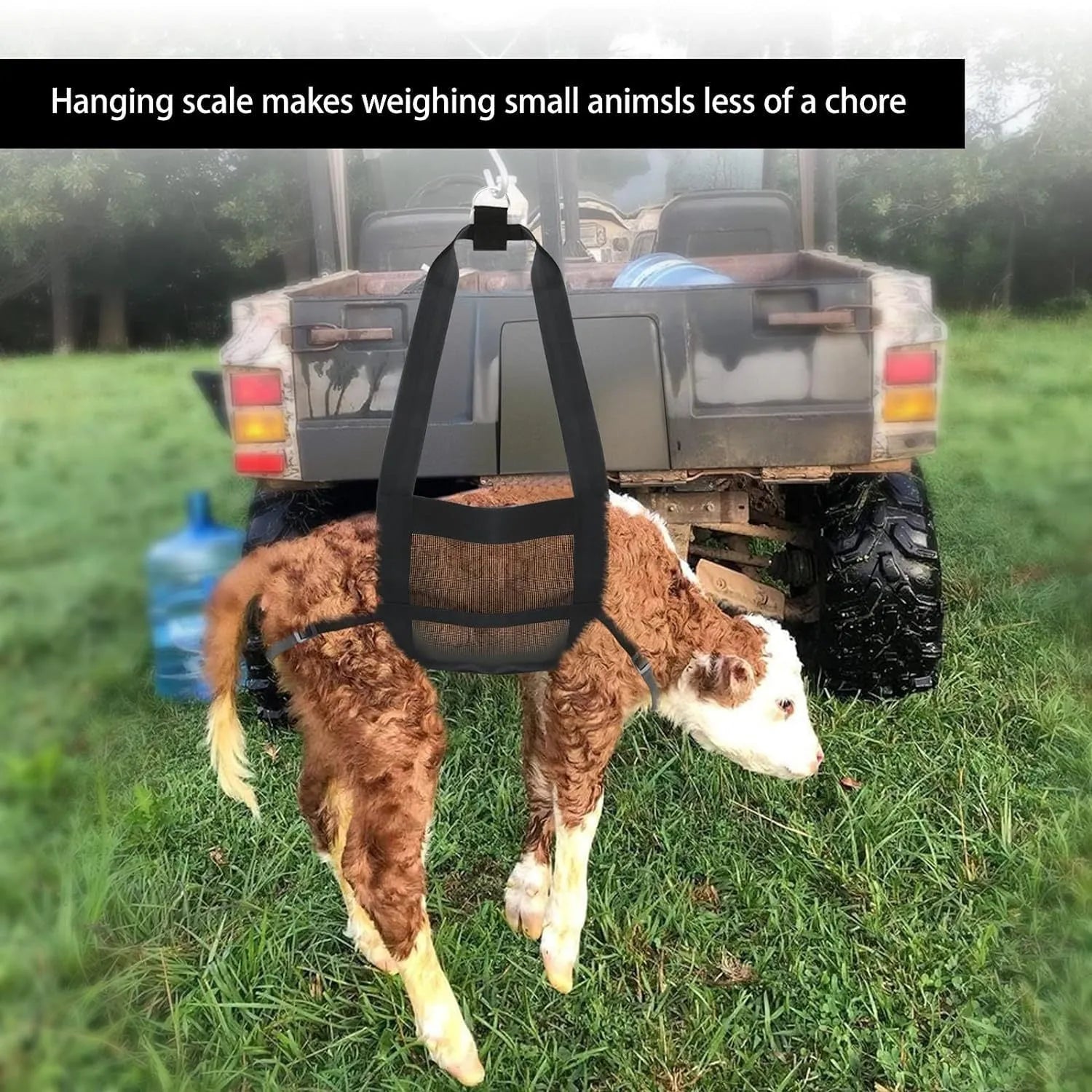 Black heavy-duty animal weighing sling measuring 35cm by 150cm for veterinary and farm use