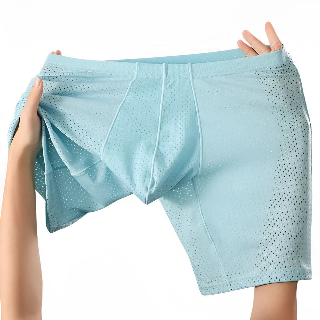 Men's transparent mesh underwear boxers in five colours with extended cut and mid-waist design
