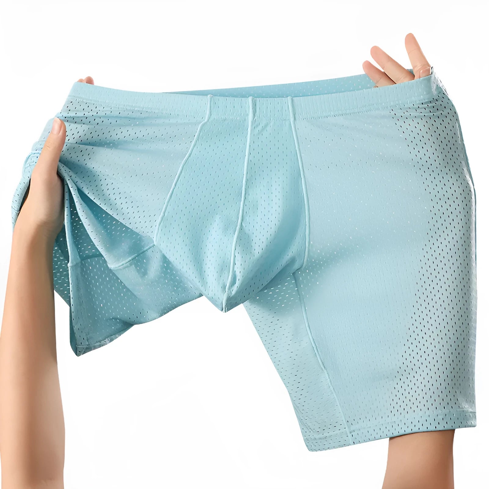 Men's transparent mesh underwear boxers in five colours with extended cut and mid-waist design