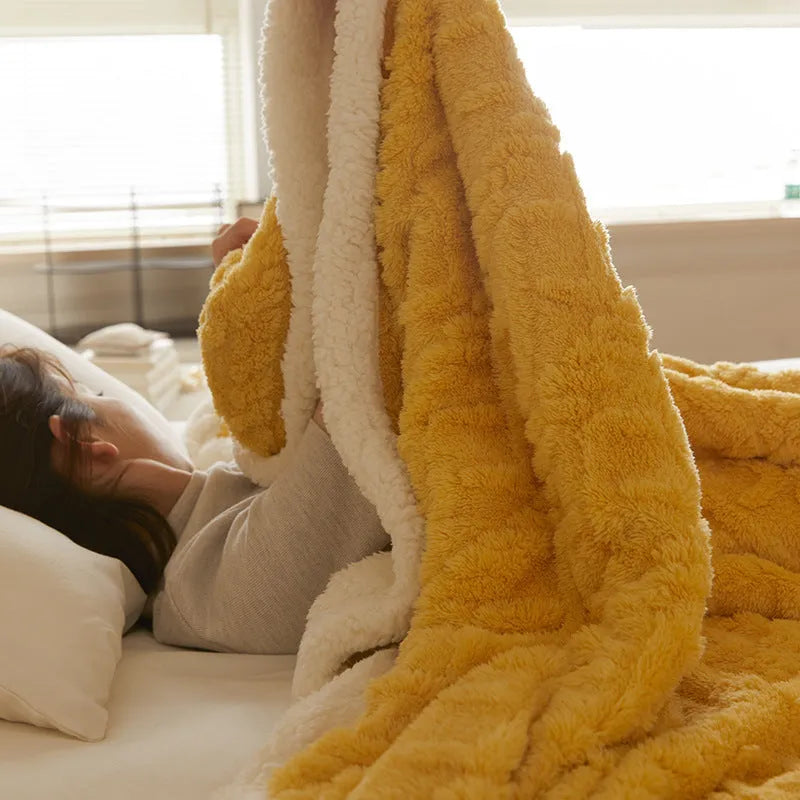Polyester thermal flannel blanket in modern simple style with taffeta texture for winter bedding