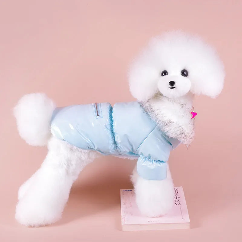 Blue British-style thick cotton winter jacket for a dog on a winter day.
