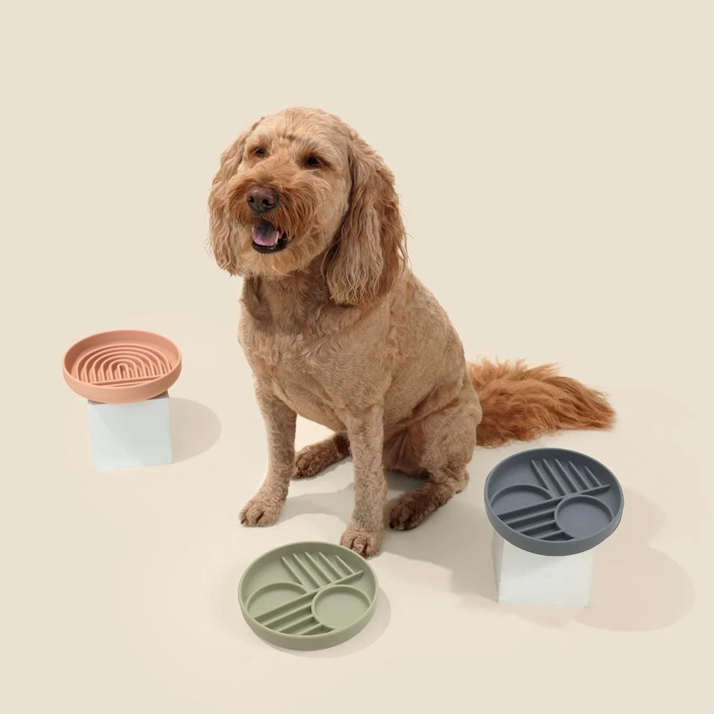 Beige silicone dog slow feeder bowl with ridges, shown next to a grey blue version on a wooden floor.