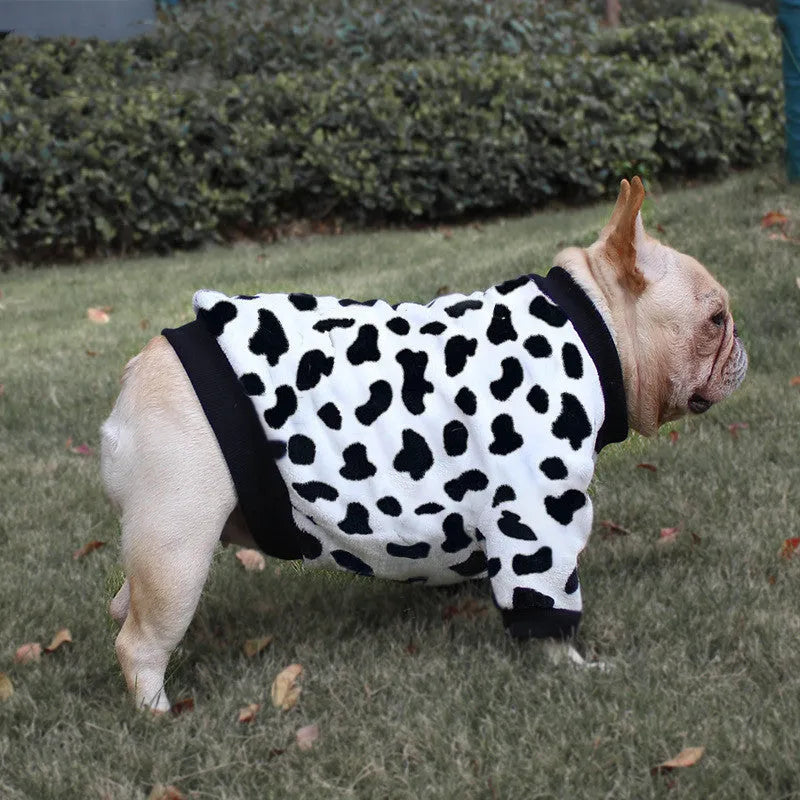 Coral fleece dog pyjamas in Bear style pattern on a female dog, side view, winter apparel
