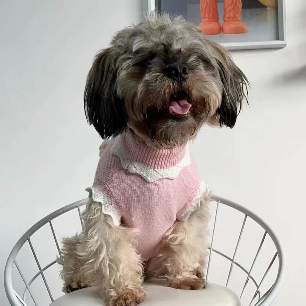 Green floral knitted dog sweater on a small dog, showing the pullover design and blossom pattern.