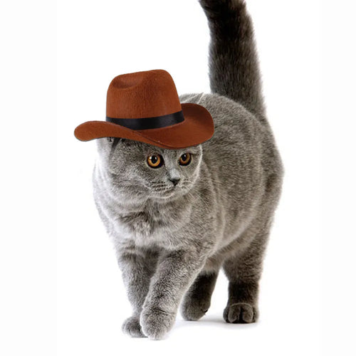 A brown adjustable cowboy hat for a dog or cat, shown on a pet mannequin head.