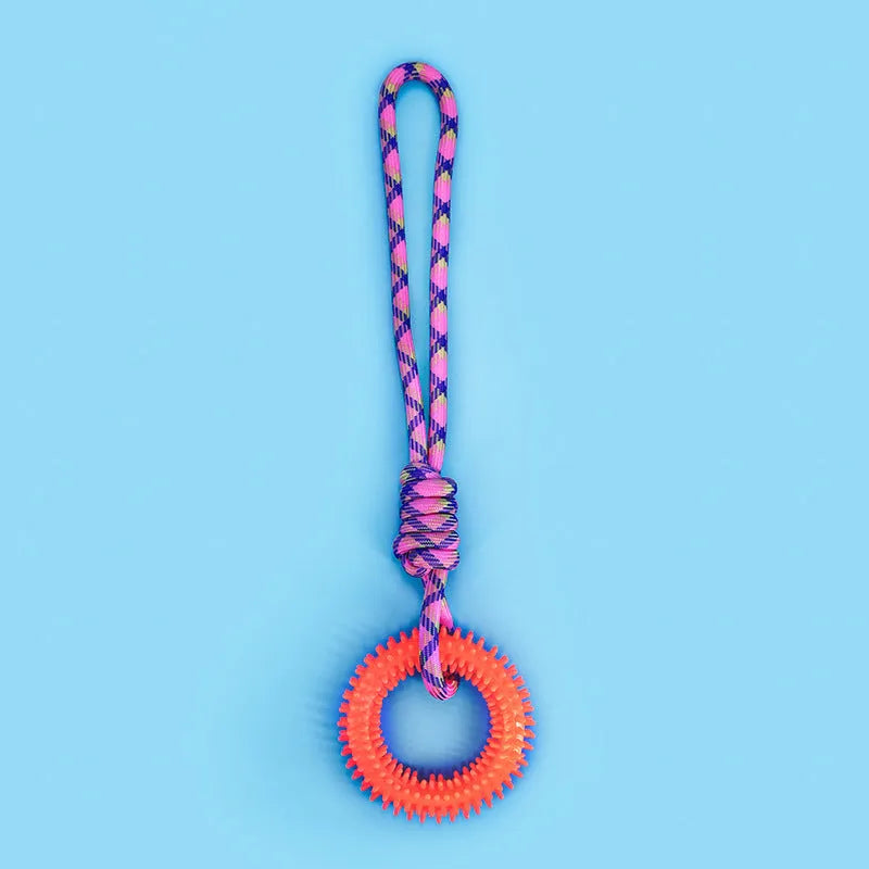 Blue braided rope dog toy with knots measuring 43cm long for puppy chewing