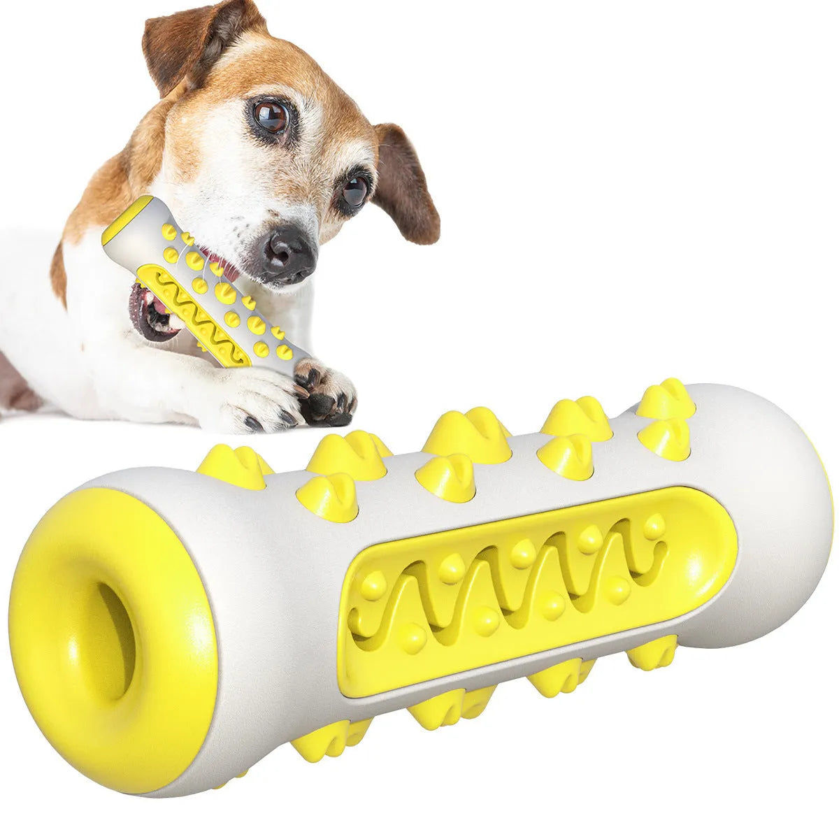 Natural rubber dog dental chew toy with textured toothbrush surface in blue colour
