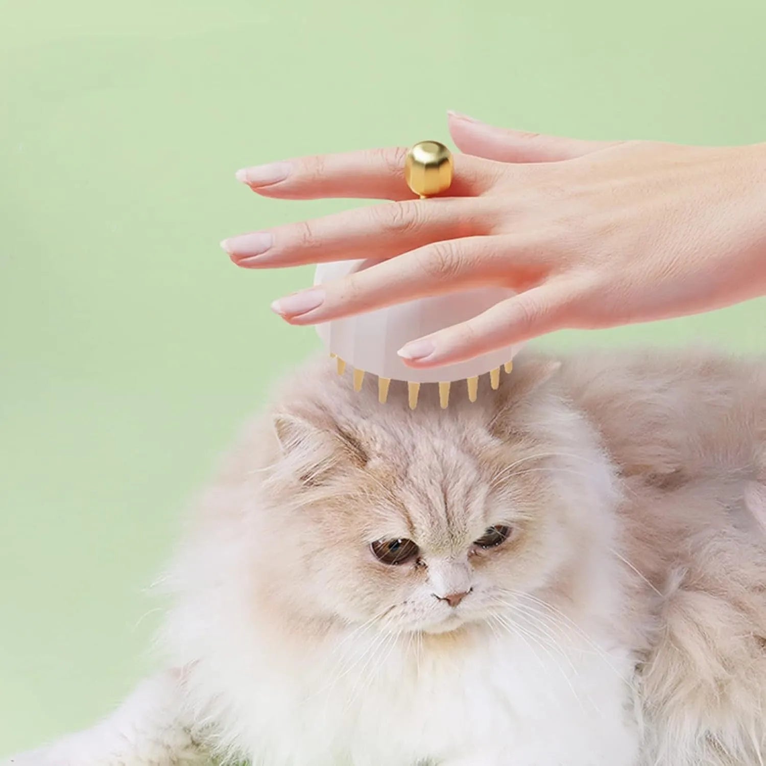 Green double-sided silicone pet bath massage brush with drain holes on a white background.