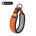 Colourful acrylic dog collar in blue, orange, and red with size options XS to L
