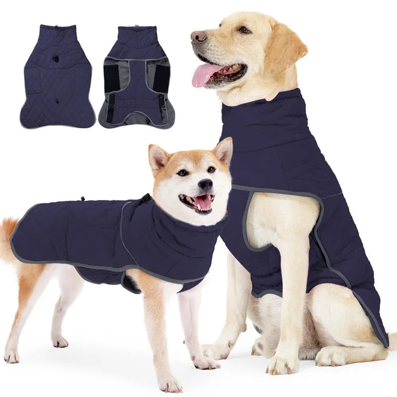 Rose Red lightweight cotton-padded dog coat on a medium breed dog, polyester casual style for cold weather