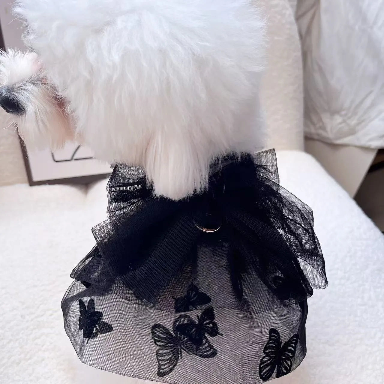 Black layered tulle princess skirt on a small dog, showing chest fit and back length.