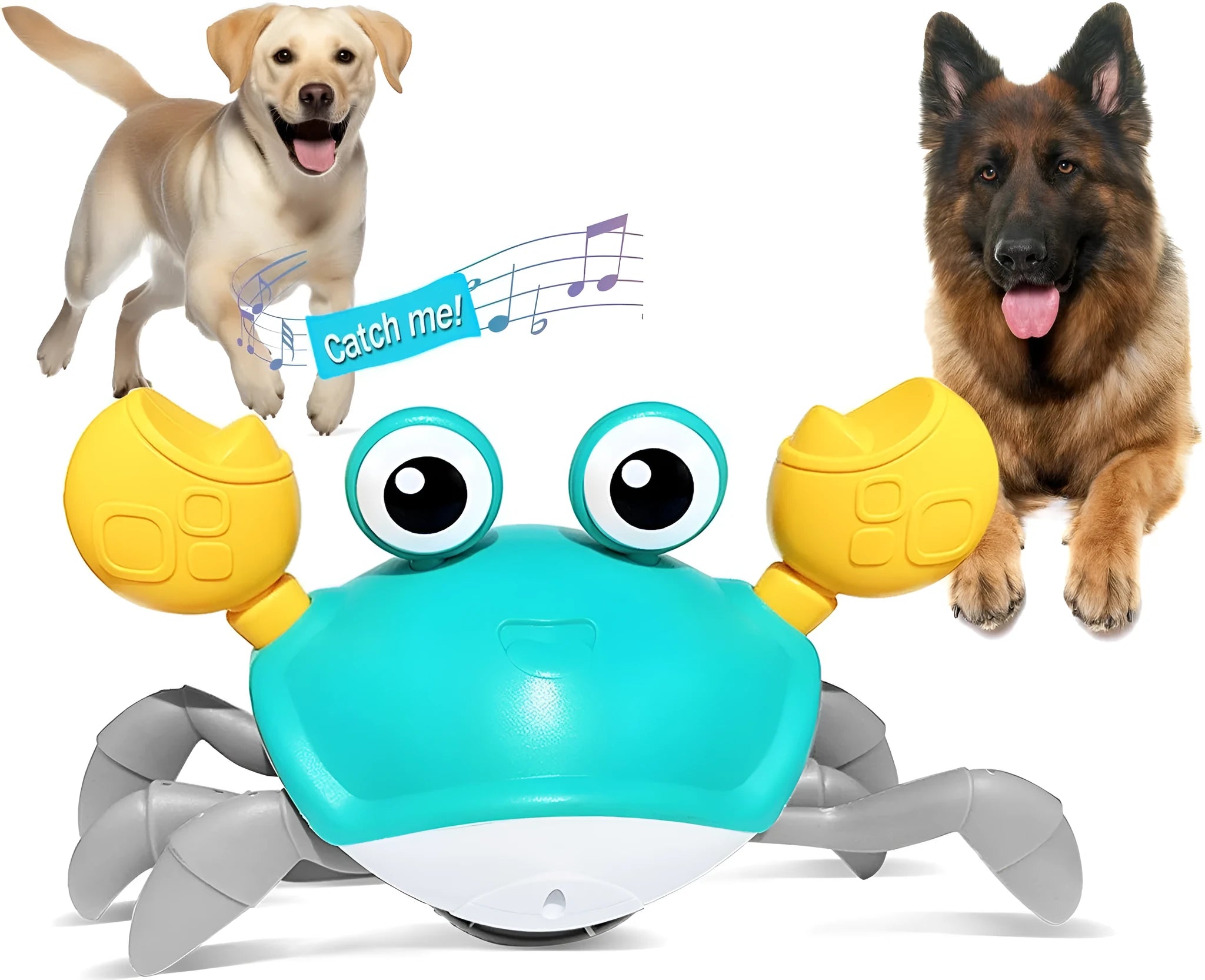 Blue electronic crab dog toy moving on floor with lights illuminated.