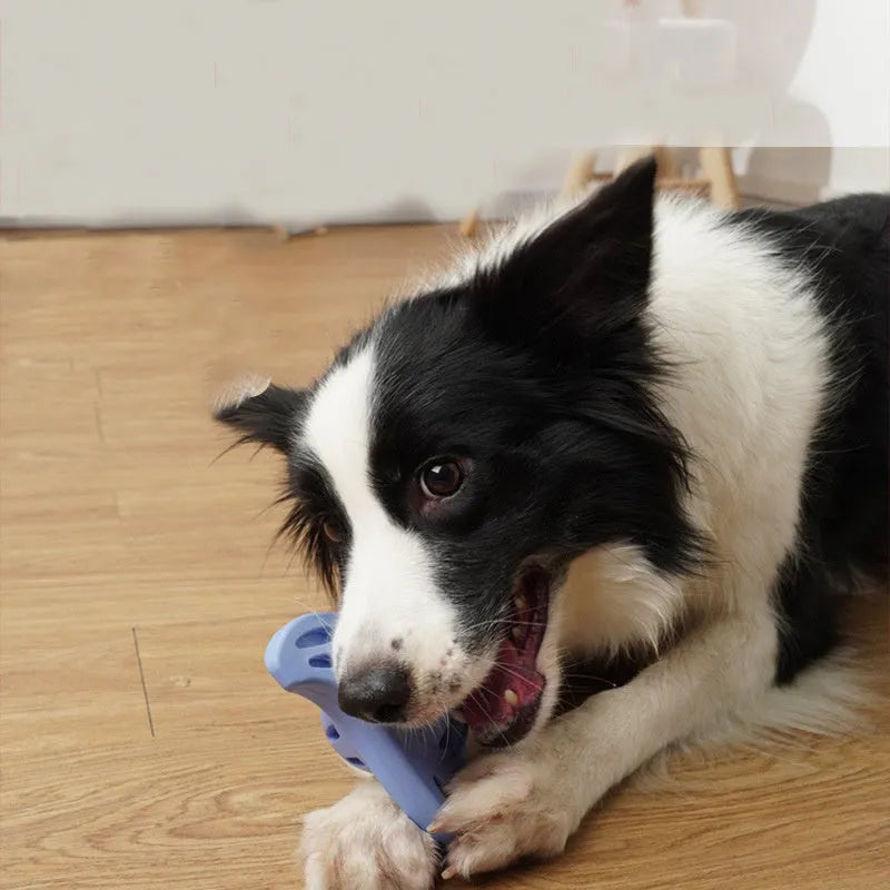 Blue or purple bite-resistant boomerang dog toy for medium and large breed chewing and fetch play.
