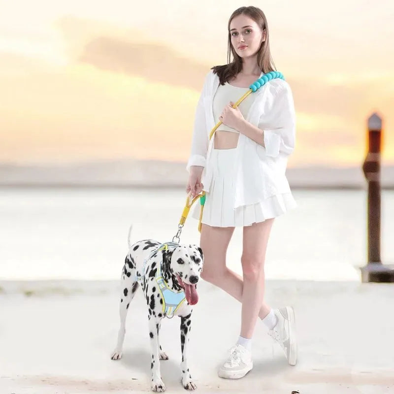 Dog traction rope leash with foam handle in four colour options: black, light purple, sky blue, yellow