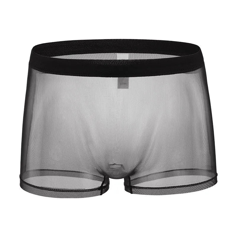 Men's mesh boxer briefs in thin sheer polyester fabric showing low waist design