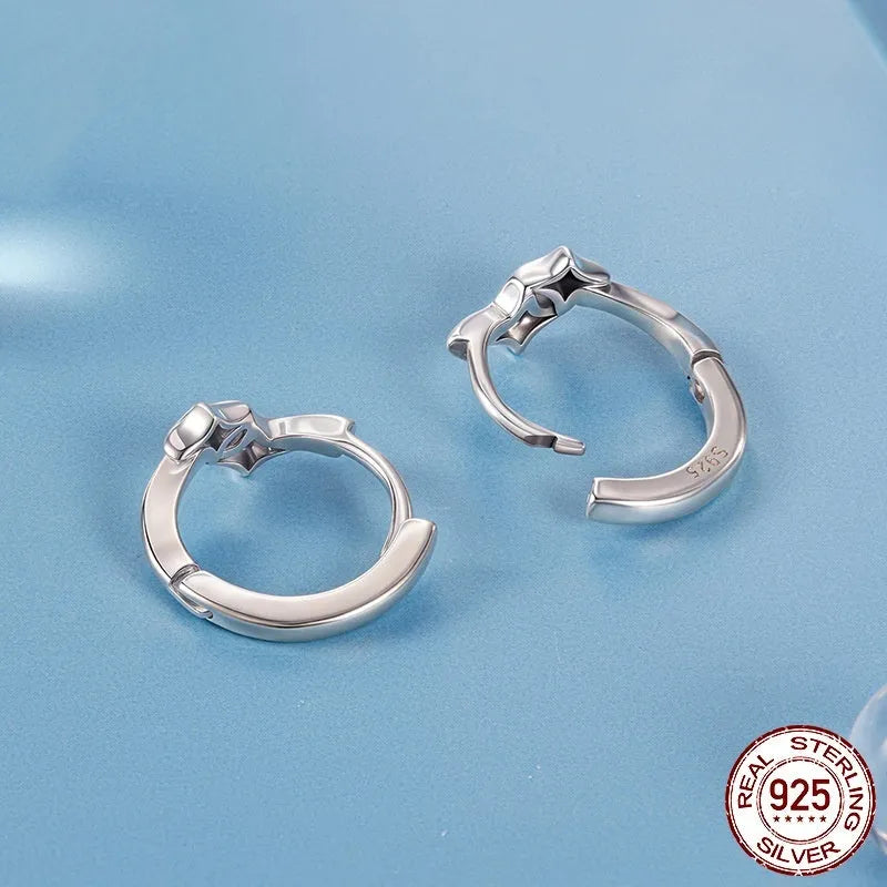 Fashion Star S925 sterling silver earrings with inlaid zircon, colour BSE1210, pair of earrings for women