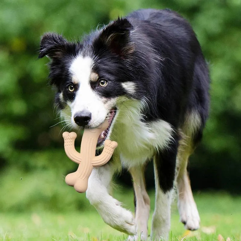 Cactus-shaped dog chew toy in bamboo fibre and rubber, shown in beige, blue, and purple colours.
