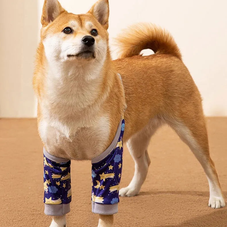 Pet knee pad anti-dirty joint protective cover in polyester for dogs, blue colour, on a dog's leg