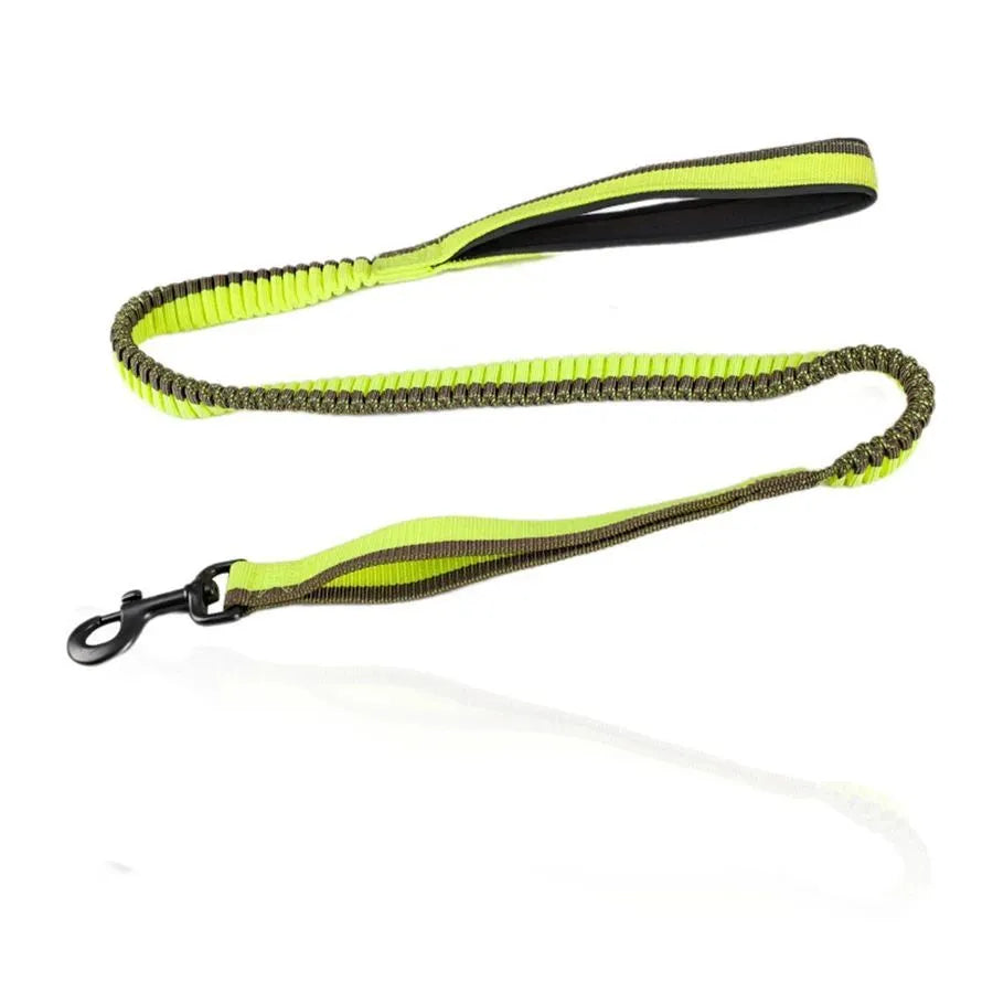 Anti-violence elastic dog training leash in green with zinc alloy clip for medium and large dogs