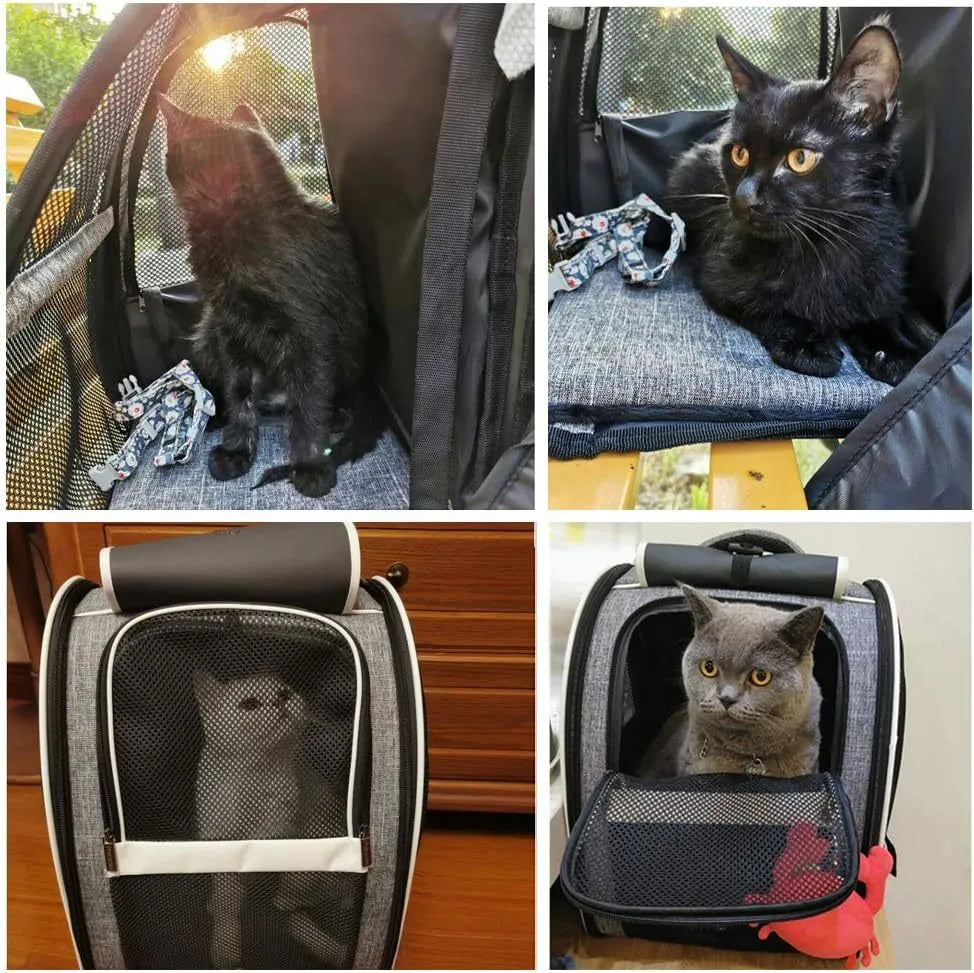 Gray Innovative Traveler bubble backpack pet carrier with PVC mesh windows, side view, for cats and dogs