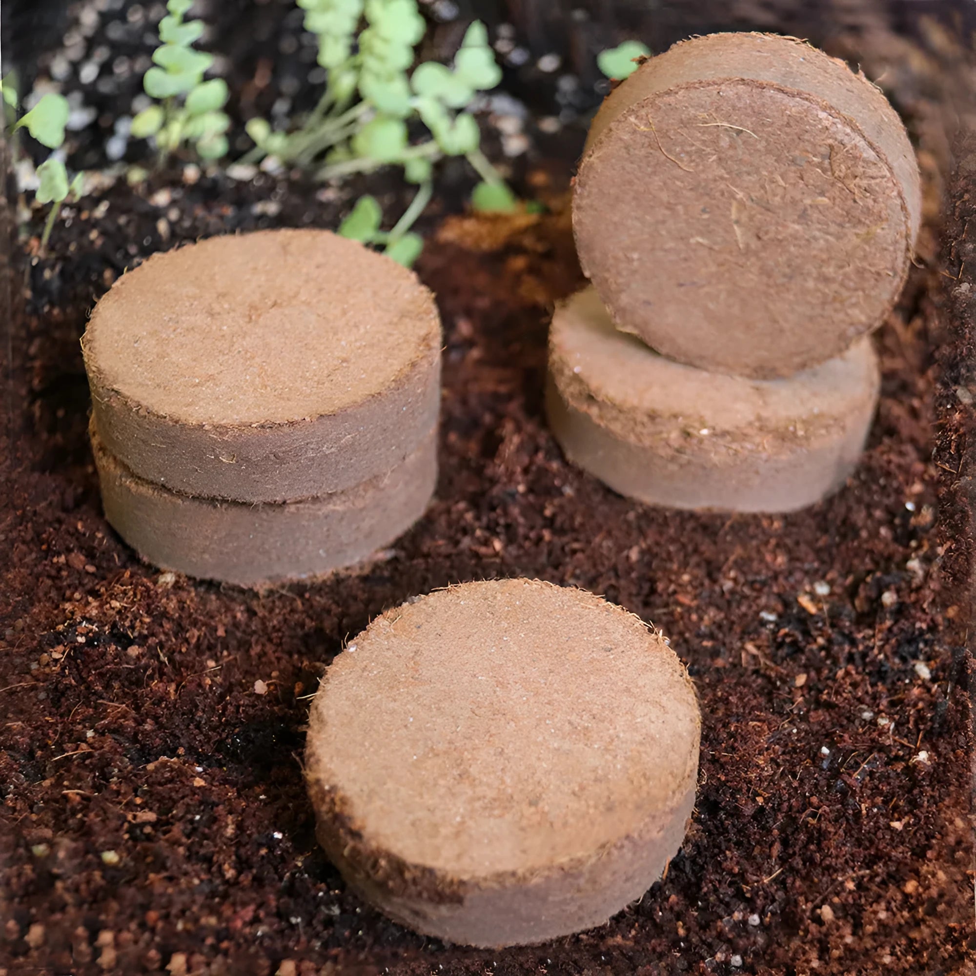 Loose granular nutrient soil blocks for vegetable planting and seedling cultivation