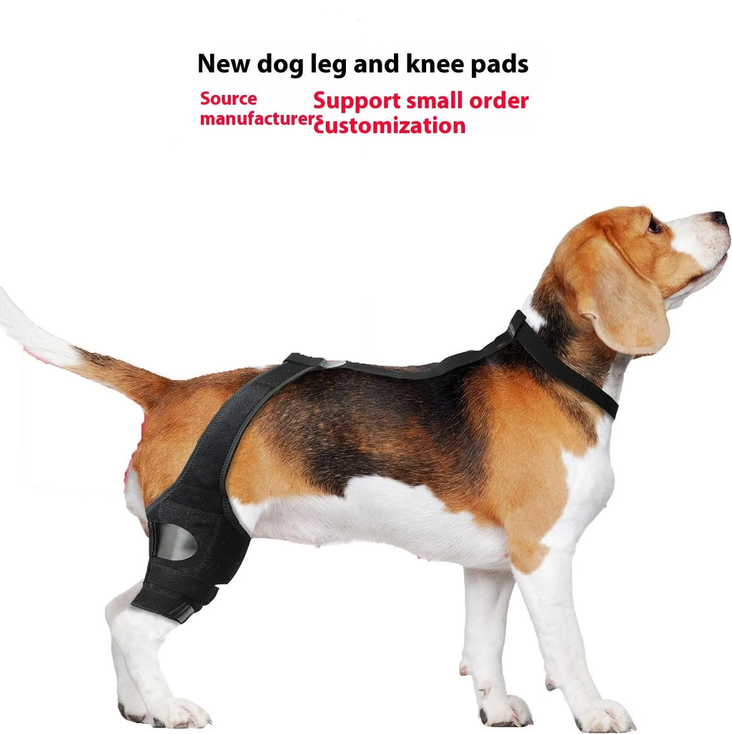 Neoprene dog hind leg knee brace assist strap in various colours and sizes