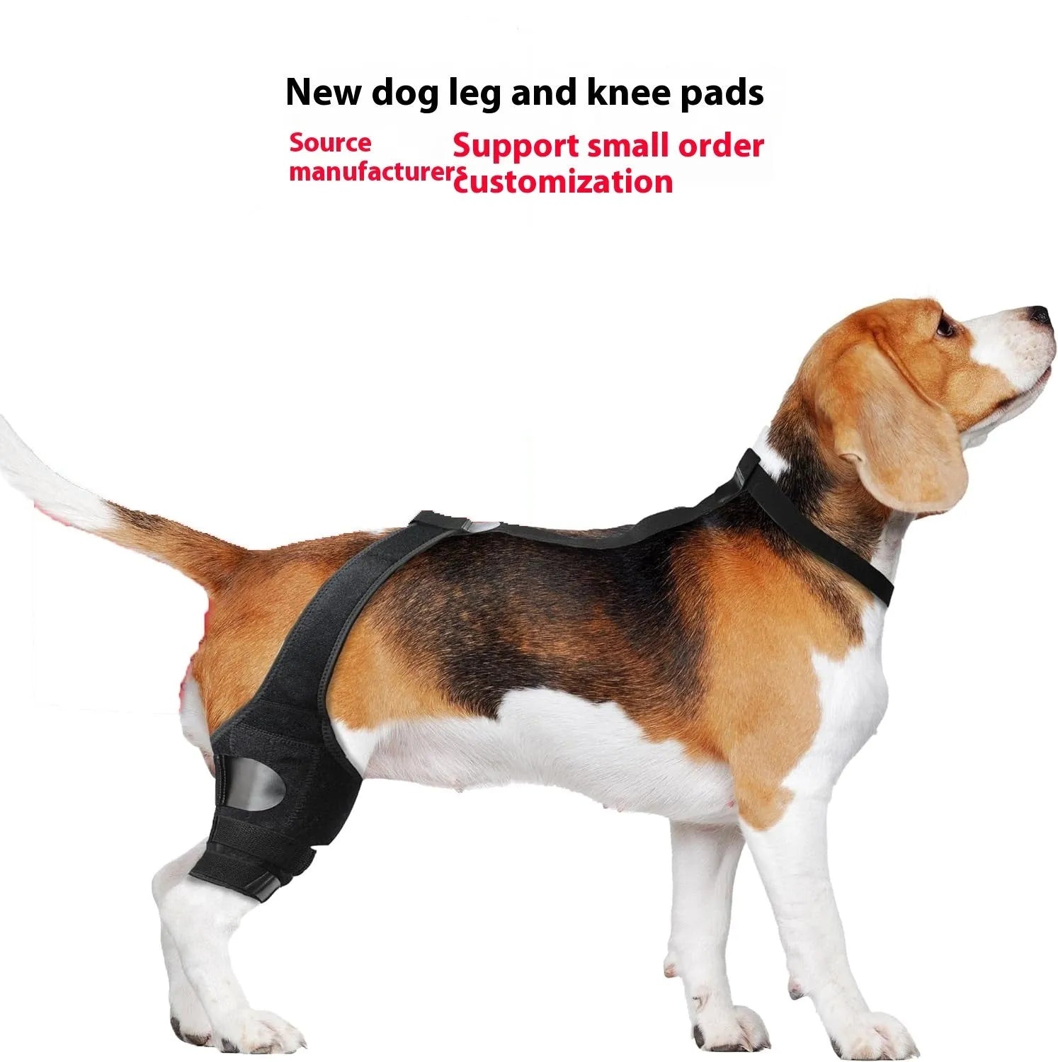 Neoprene dog hind leg knee brace assist strap in various colours and sizes