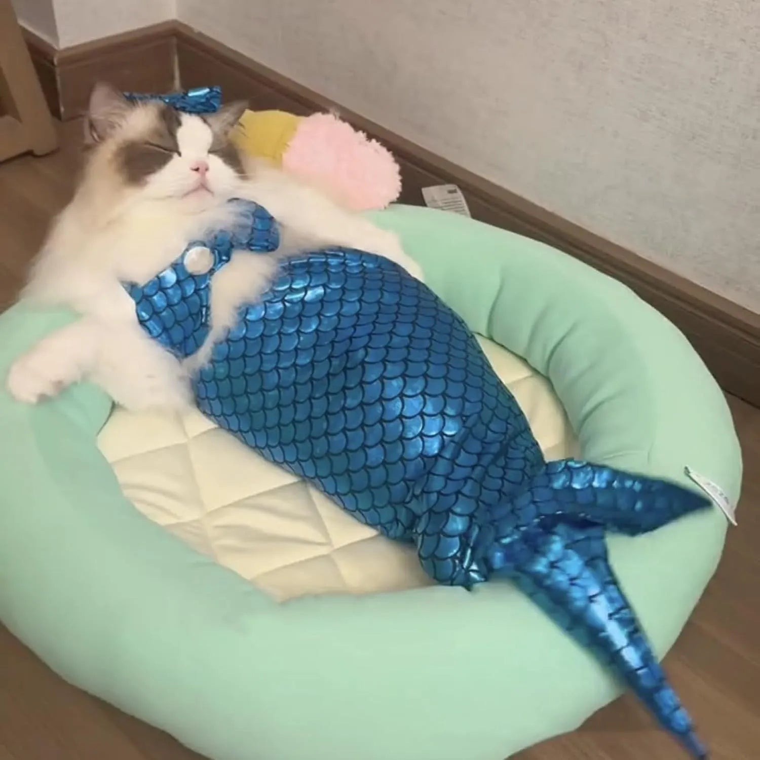 Blue mermaid costume on a small cat showing the long fishtail, scale pattern, and adjustable chest strap.