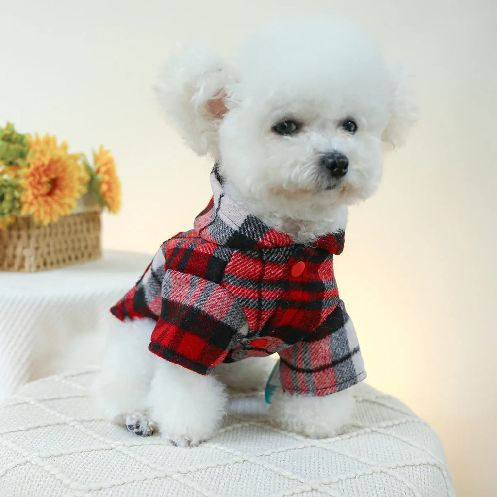 Red plaid dog trench coat on a medium-sized dog, showing the structured collar and classic trench design for winter.