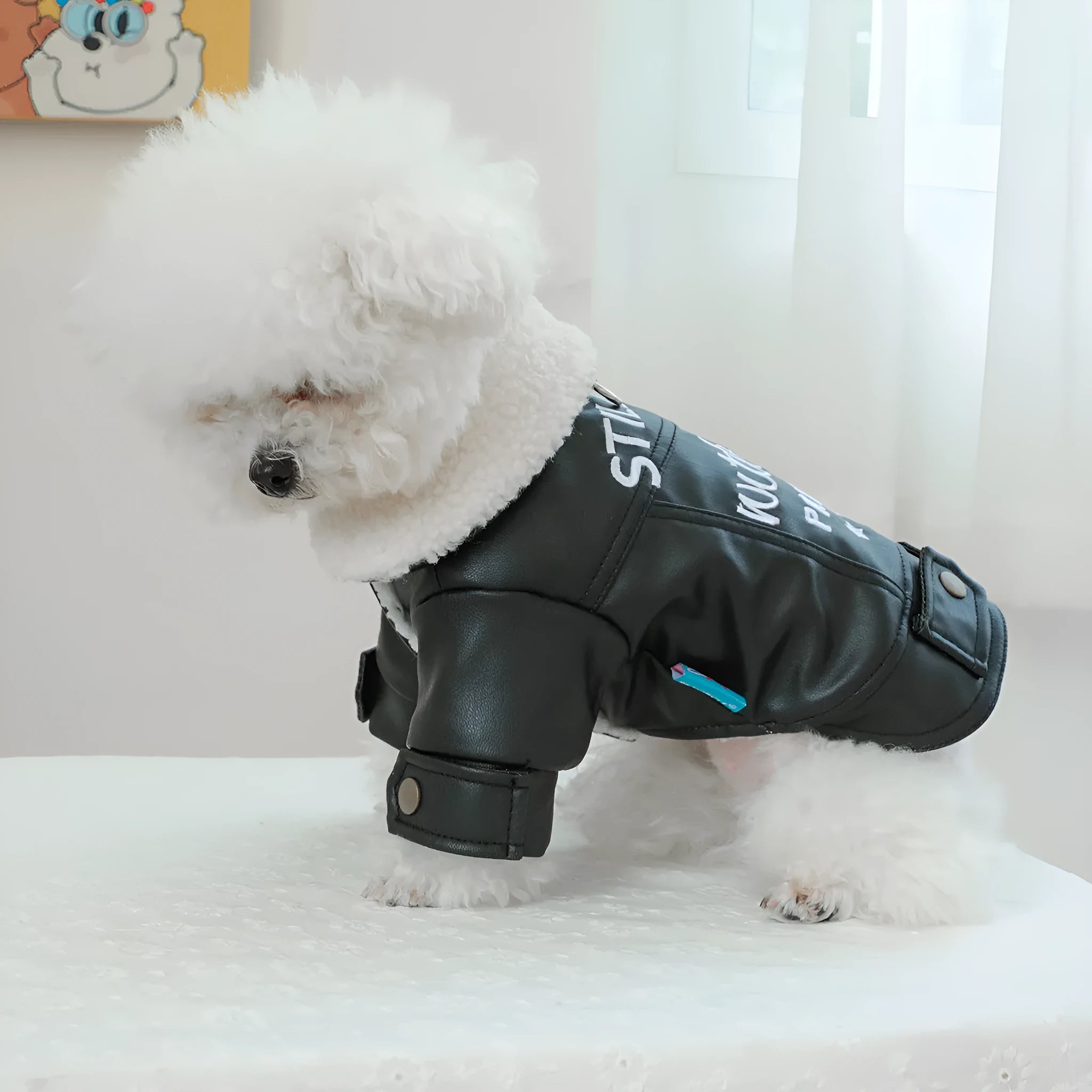 Fleece-lined padded dog winter coat in beige, black or suede colours with size chart showing measurements