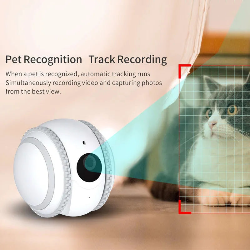 White pet companion robot with automatic recharge for cat monitoring and interactive play