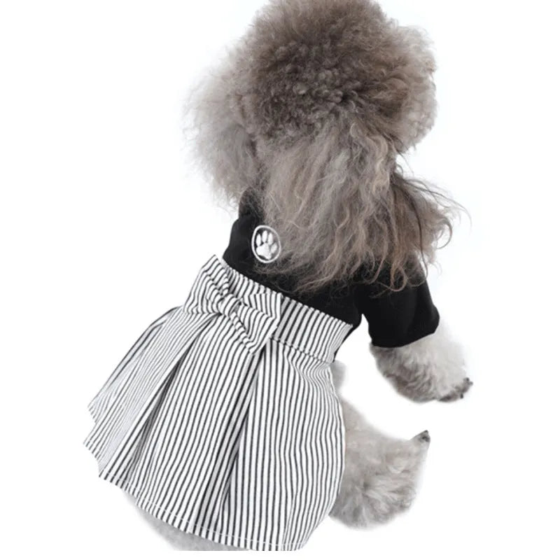 A poodle wearing thin cotton clothing, available as a skirt or four-legged pants in sizes S, M, L, XL.