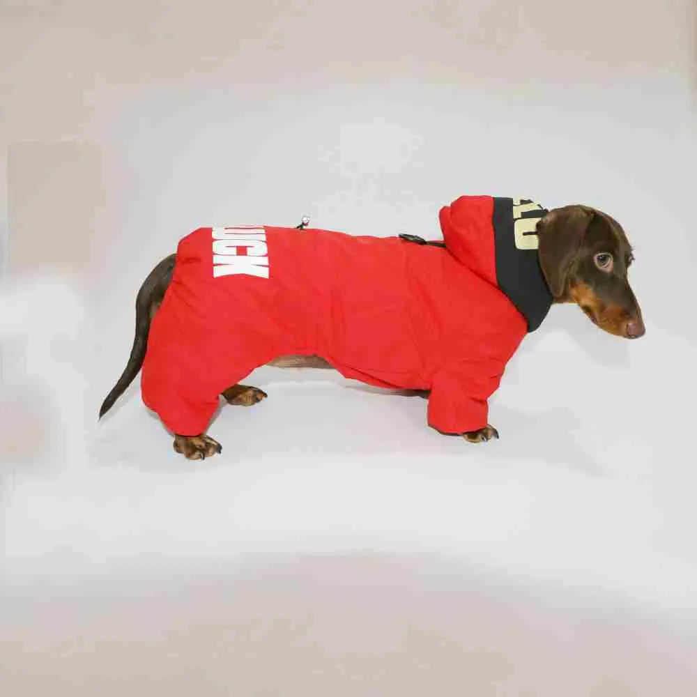 Thickened four-legged pet clothing in beige on a small dog, winter outdoor use