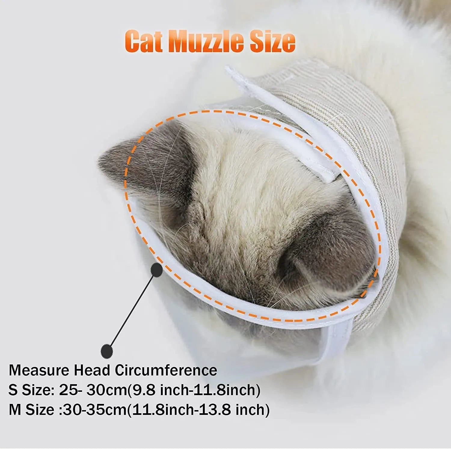 Transparent cat anti-bite muzzle with cotton construction and central breathing hole in S or M size