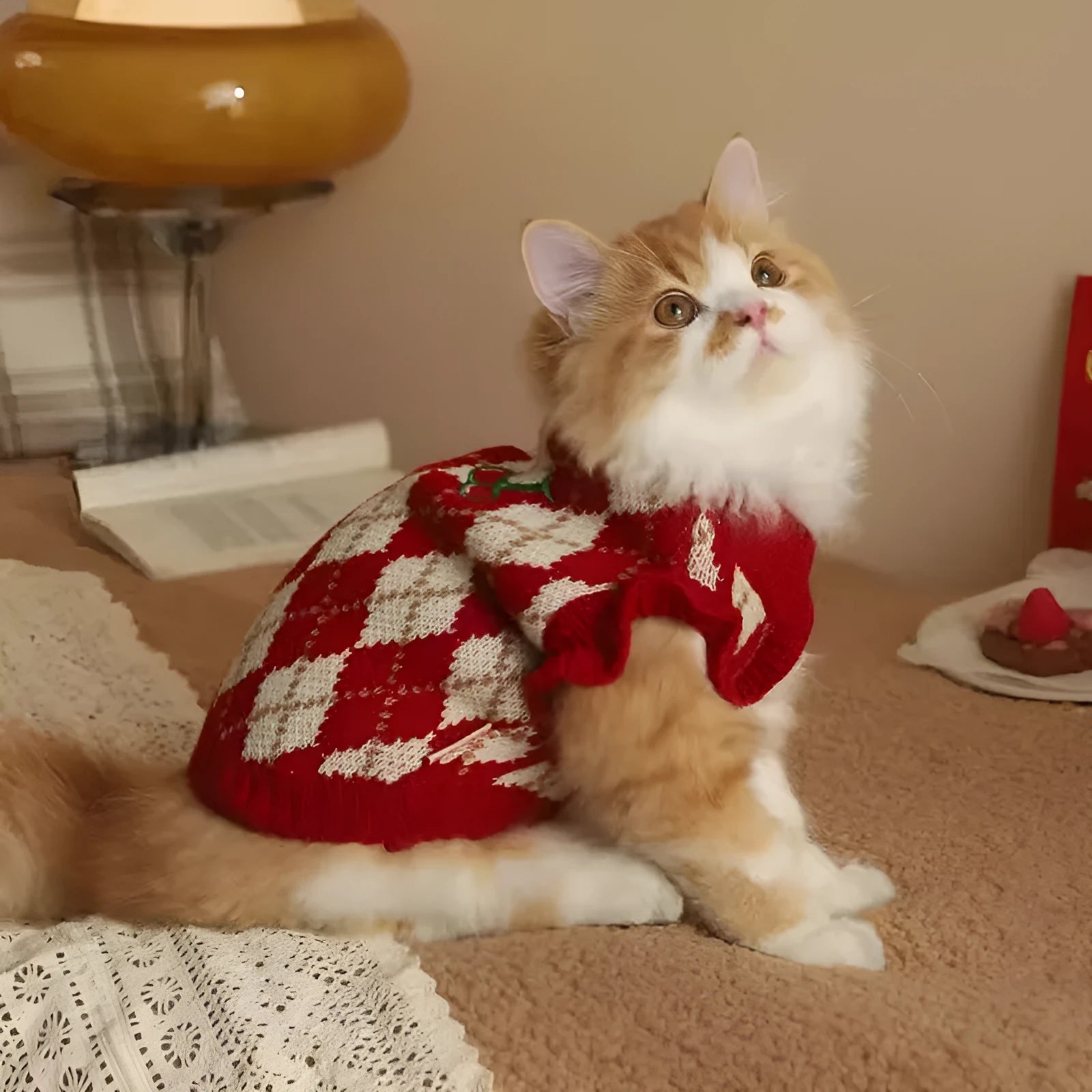 Red cat sweater with rhombic cherry embroidery, showing front view of autumn winter pet clothing
