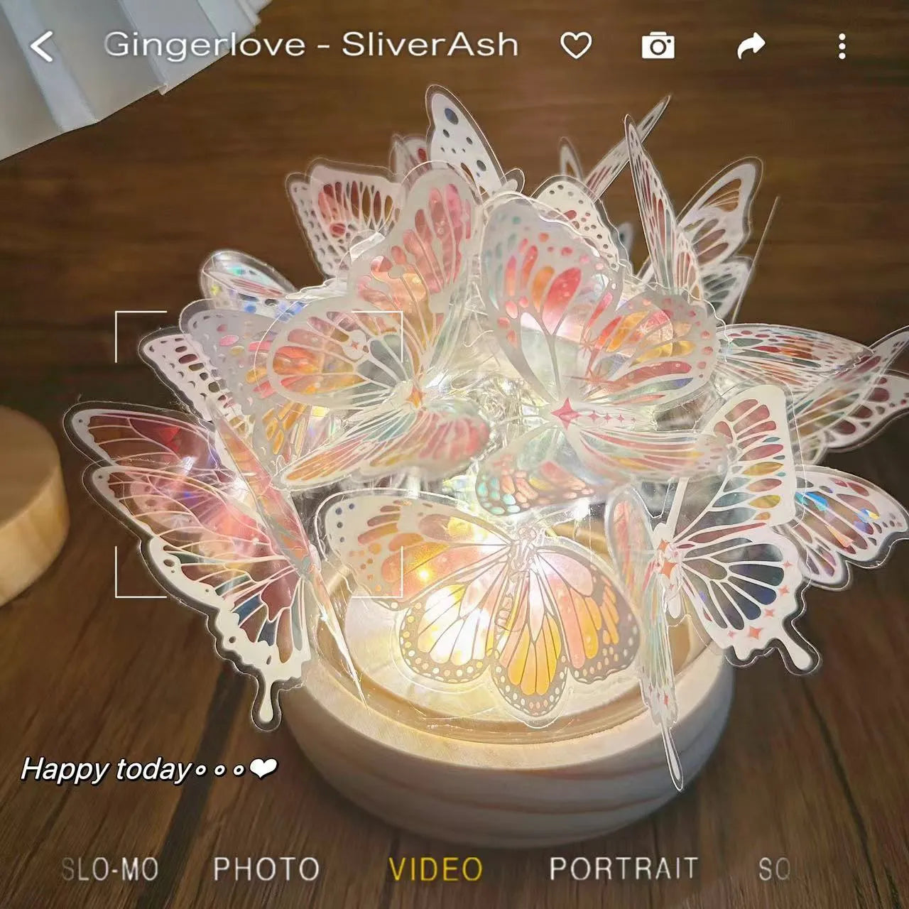 Handmade butterfly night lamp with glass shade and raw wood base measuring 12x15cm