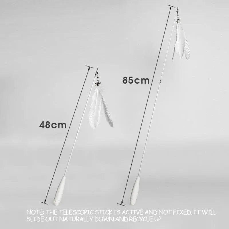 Telescopic cat fishing rod toy extended to 80cm with goose feather end and removable pen attachment