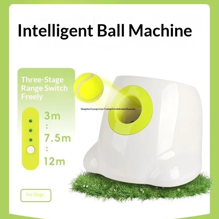 Pack of six 5cm stainless steel tennis balls for mini automatic dog ball launchers