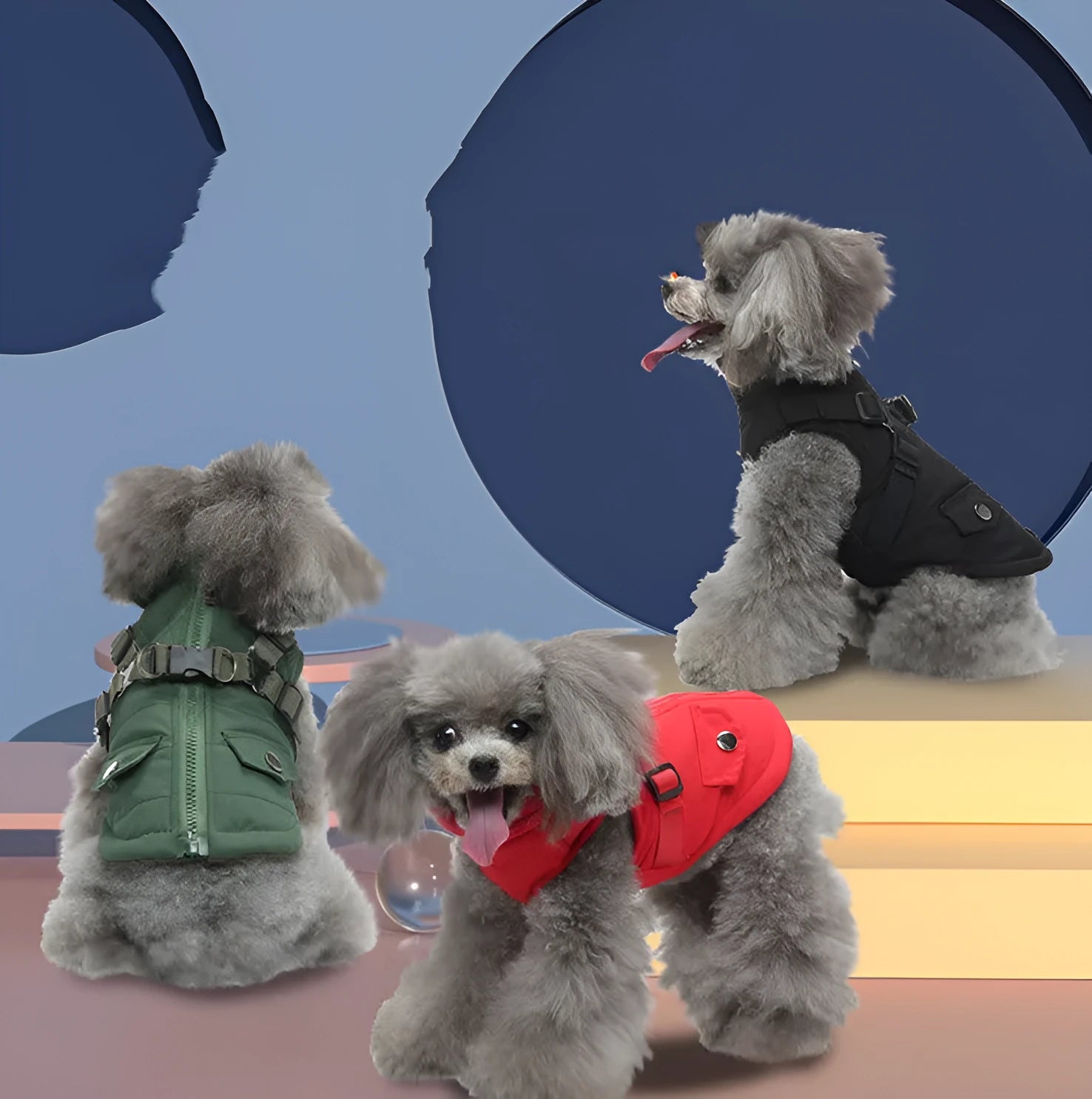 Blue cotton-padded dog jacket with zipper front on a small dog against a white background
