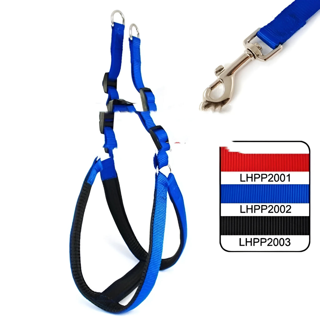 Blue adjustable dog harness with foam lining and nylon chest strap for walking control