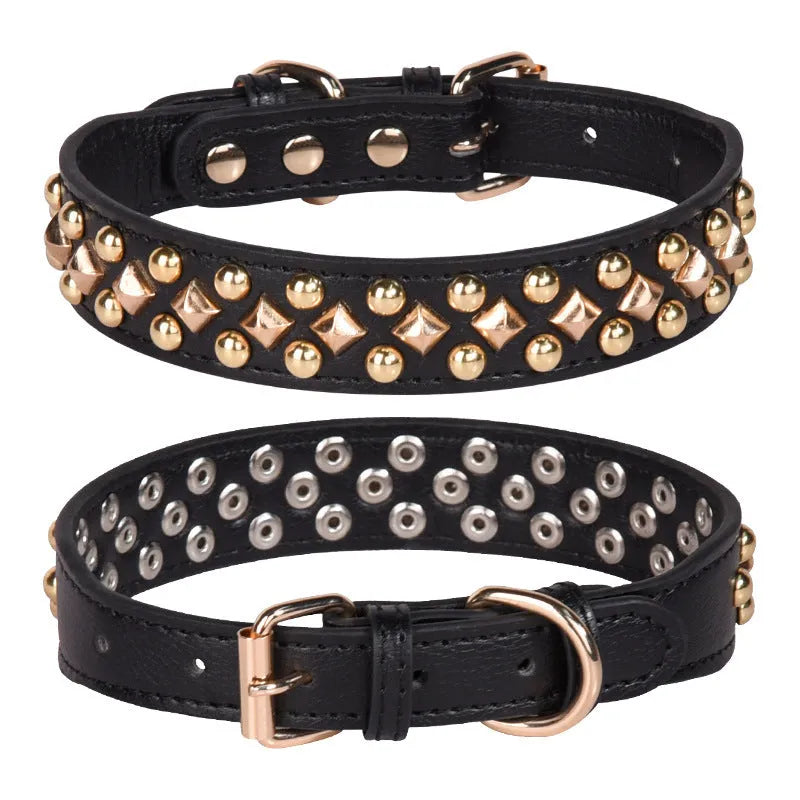 Rivet leather dog collar with golden rivet decoration in black on white background