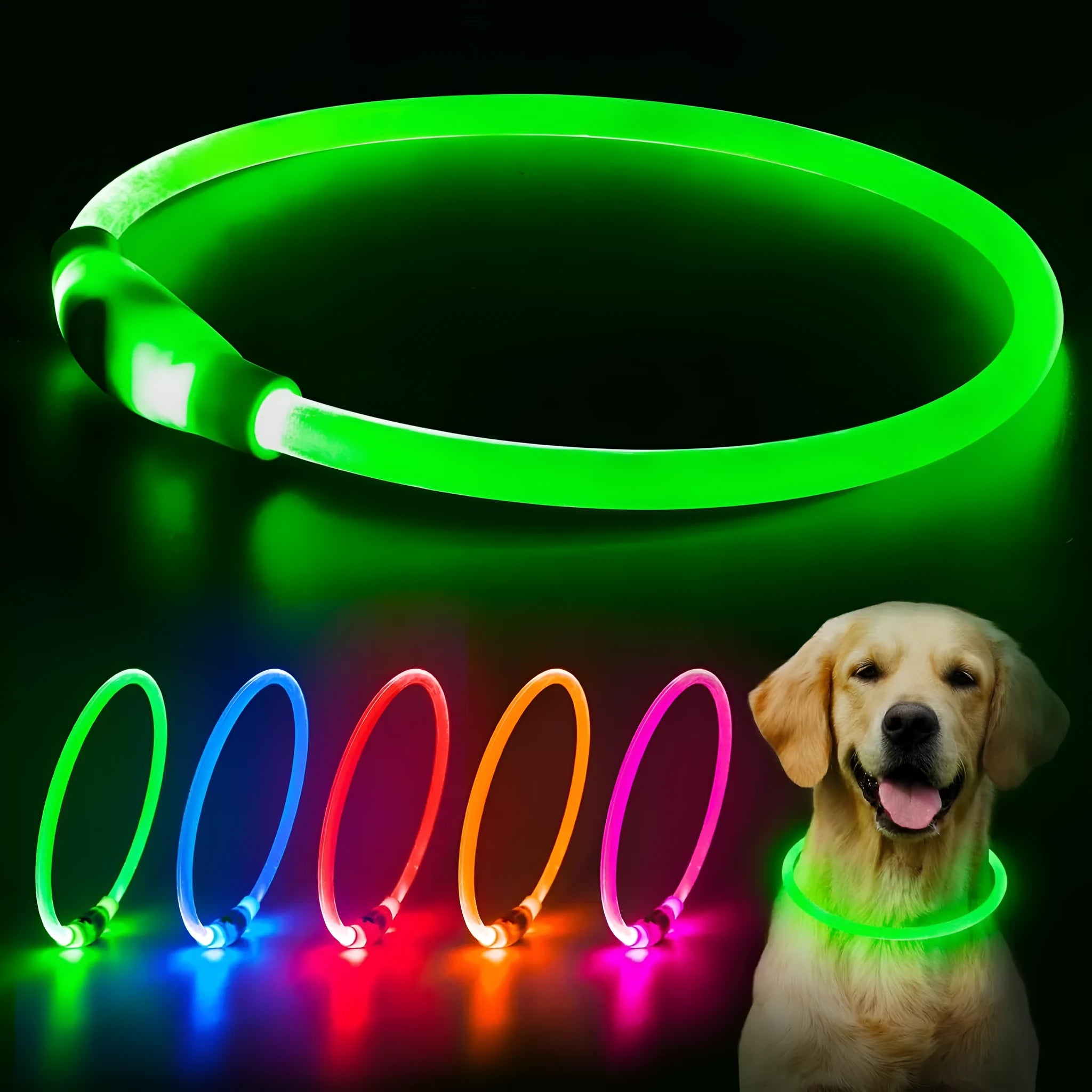 Blue USB rechargeable LED dog collar glowing on a dog's neck at night