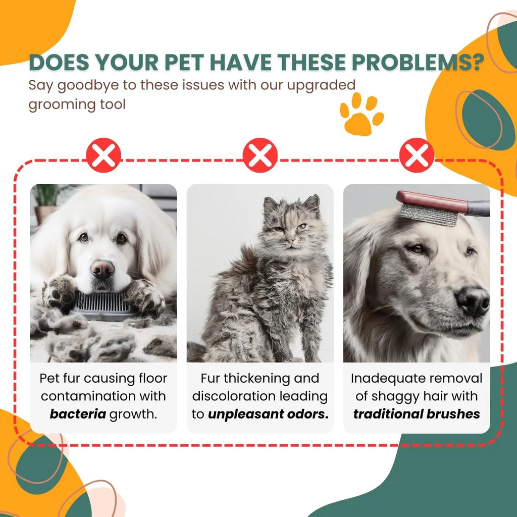 White pet steam grooming brush with gentle steel teeth and built-in water tank for dogs and cats