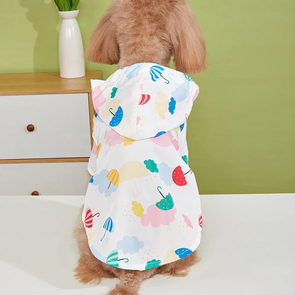 Colourful cartoon umbrella pattern polyester raincoat for a small dog, shown in size L.