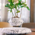 Hexagonal wood grain magnetic levitating flower pot floating 15mm above circular base
