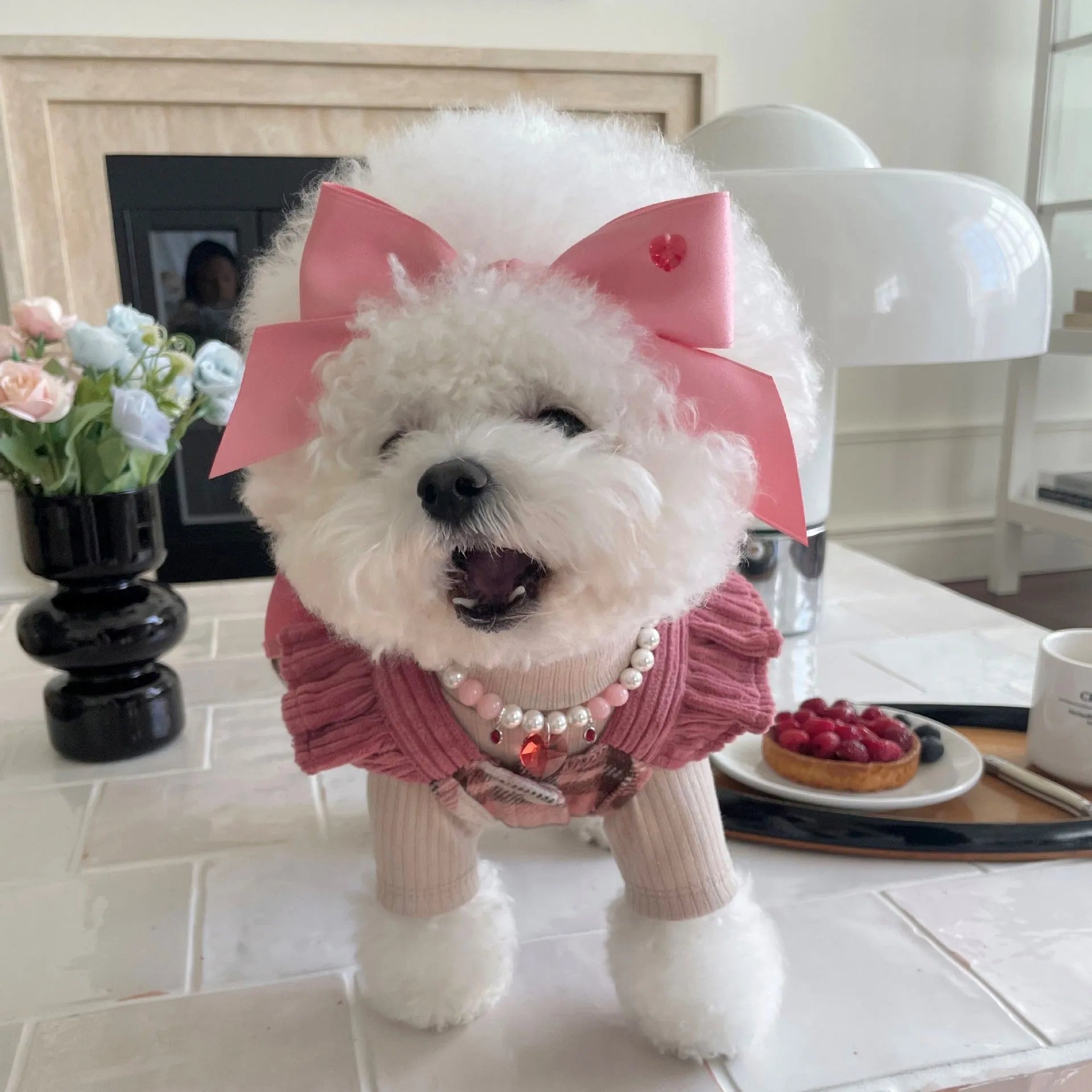 Blue adjustable princess bow hair band on a dog, showing the jacquard ribbon material and tension adjustment.