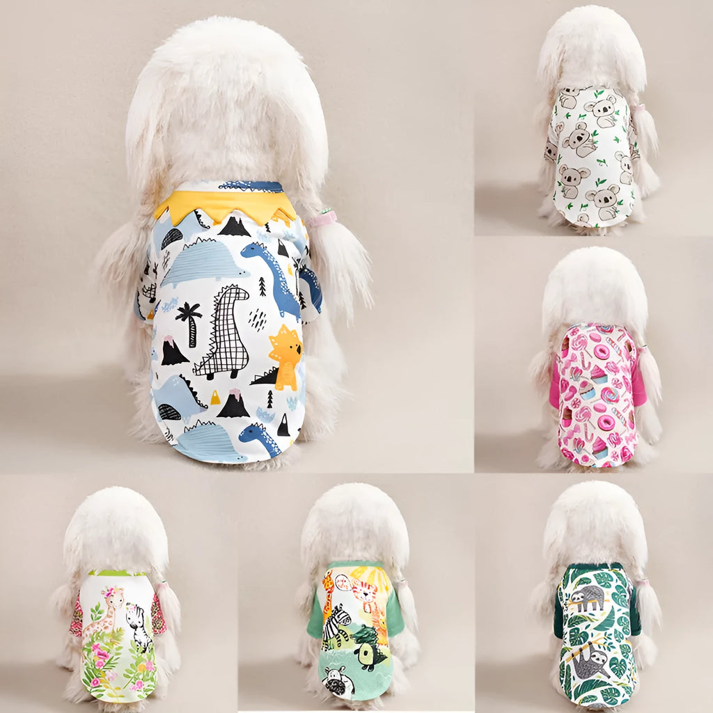 Small dog wearing a colourful printed polyester t-shirt for casual spring or autumn weather.